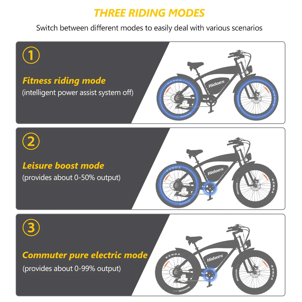 Hidoes B3 Adults Electric Bike with Max Speed 60km/h 18.2AH Lithium Battery 1200W Brushless Motor Electric Mountain Bike