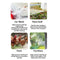 Rechargeable Washing Wireless High Pressure Washer Self Priming Sustain 300W Car Wash Water Gun With Li-ion Battery