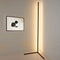 Dream Color Lamp