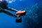 GENEINNO S2 Underwater Scooter,Dual Motors and Smart APP Support,Sea Scooter for Swimming Scuba Free Diving Snorkeling for Kids